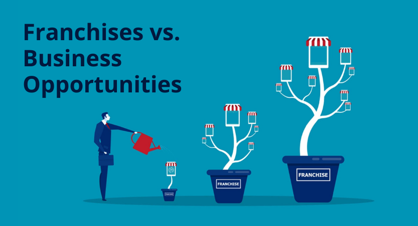 Read more about the article Franchises vs. Business Opportunities