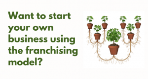 Read more about the article Want to start your own business using the franchising model?